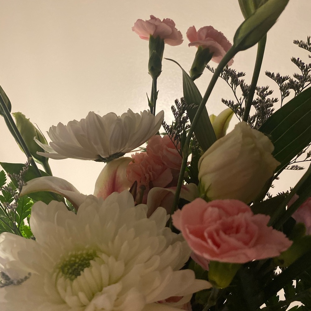 Meet your Posher, Hind